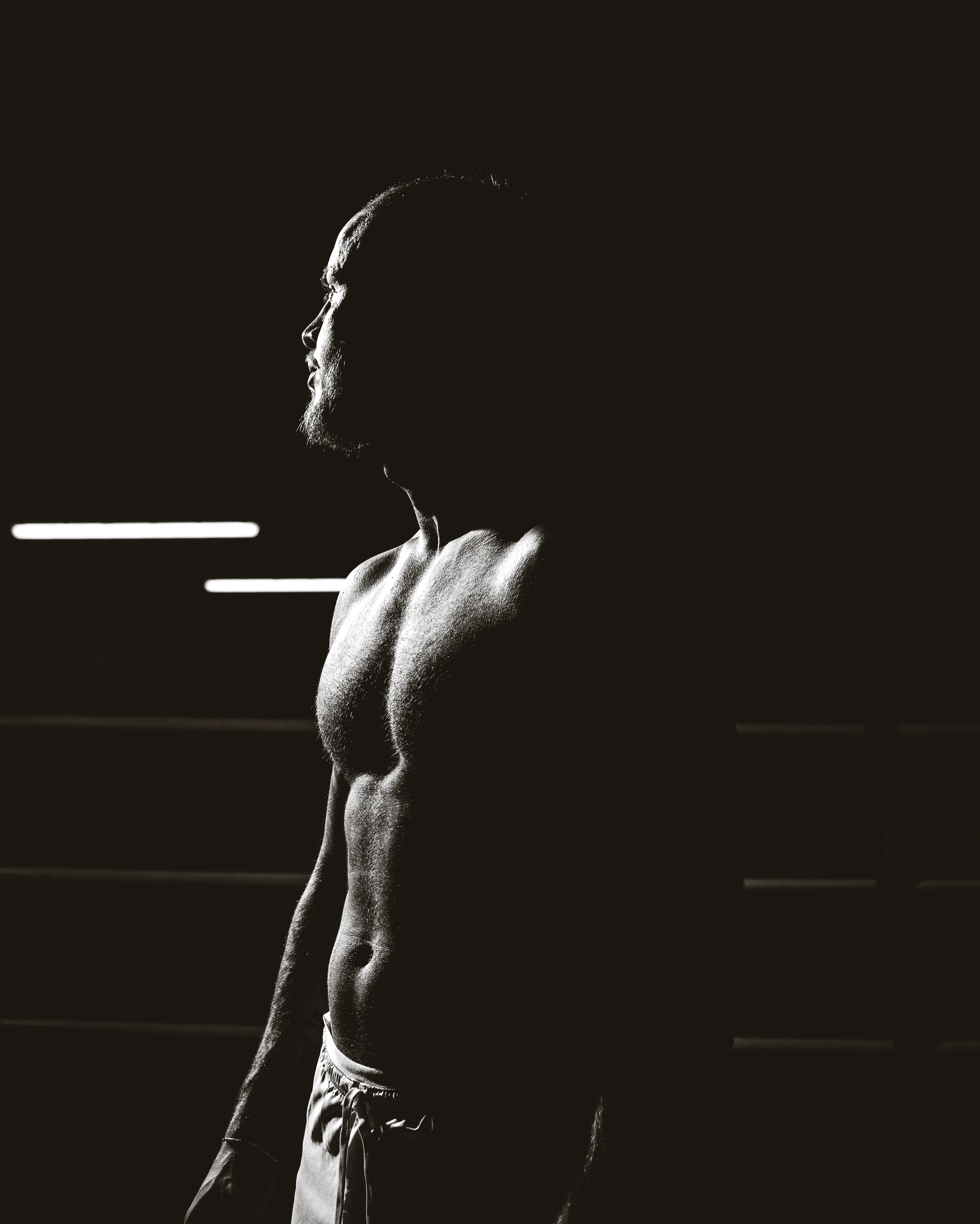 Hannes Brune — Silhouette